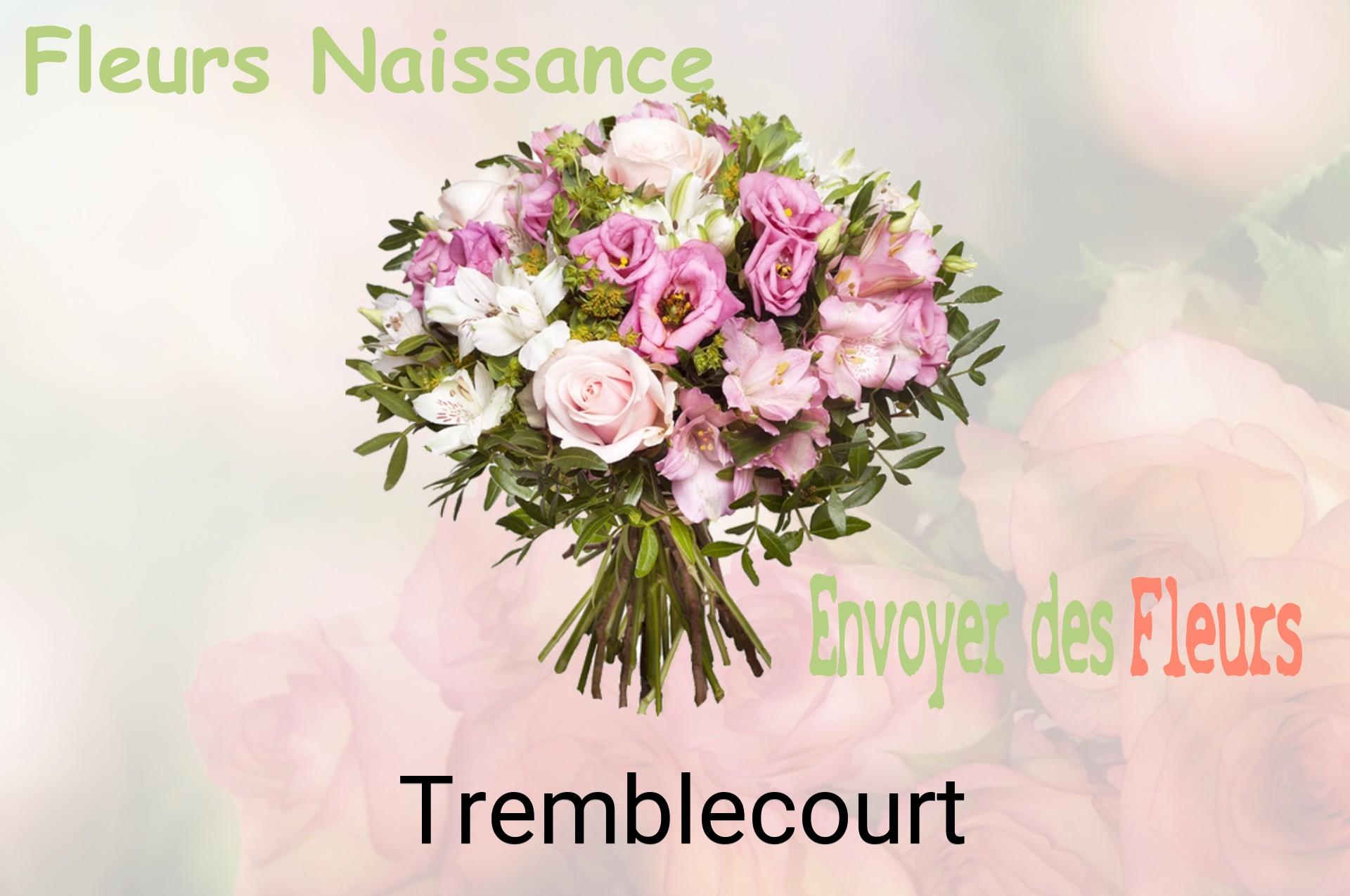 Bouquet de fleurs de naissance livré à Tremblecourt