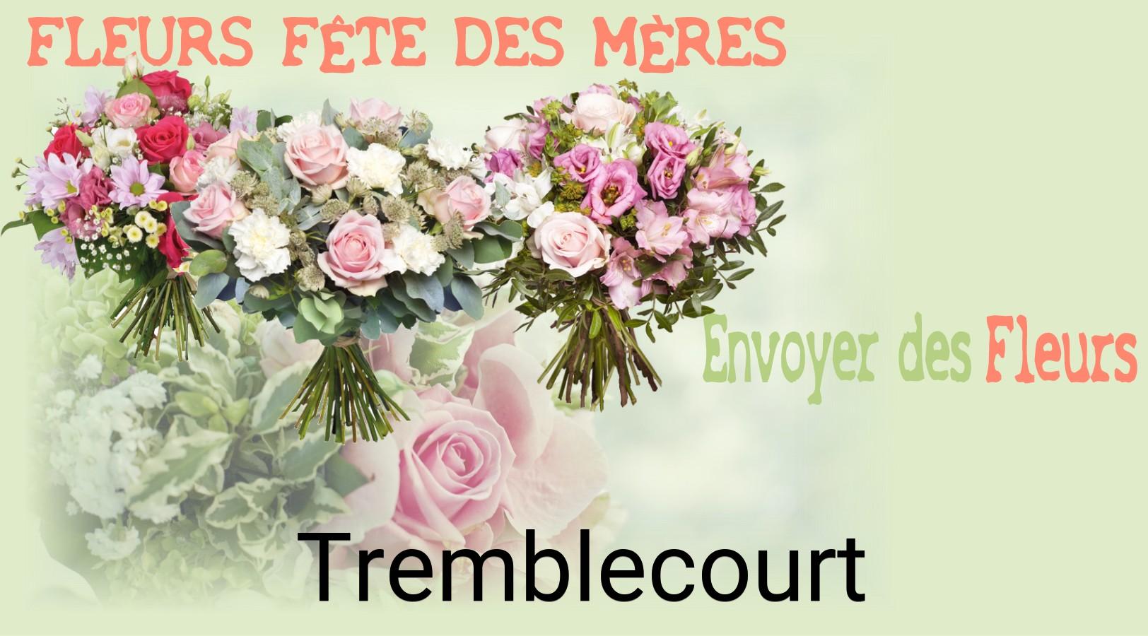 Bouquet de Fête des Mères livré à Tremblecourt